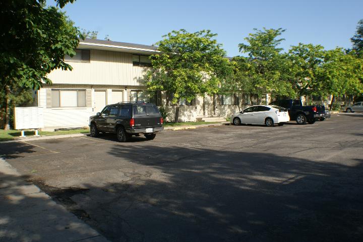 Green Pines