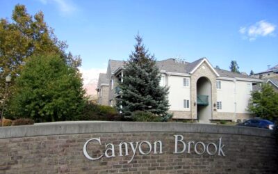 Canyon Brook